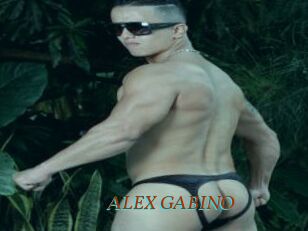 ALEX_GABINO