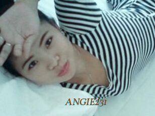 ANGIE231