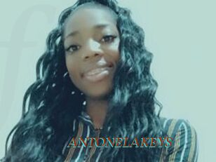 ANTONELAKEYS