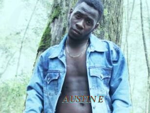 AUSTIN_E