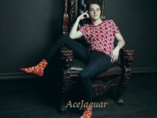 AceJaguar