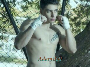 AdamBull