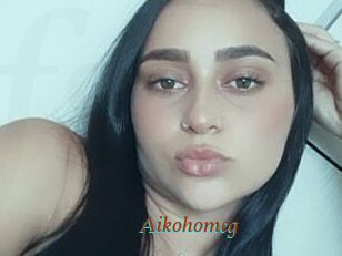 Aikohomeg