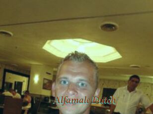 Alfamale_Dutch