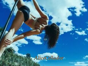AliceCellador