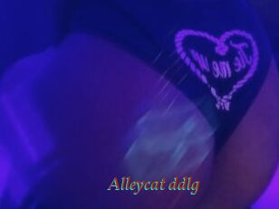 Alleycat_ddlg
