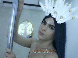 Ambarhoty