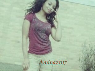 Amina2017