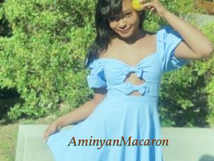 AminyanMacaron