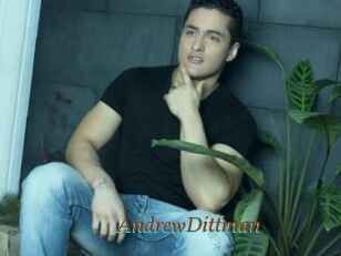 AndrewDittman