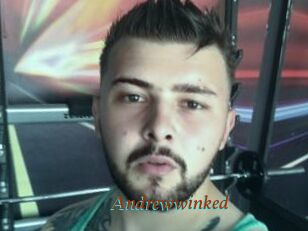 Andrewwinked
