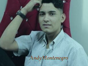 AndyMontenegro