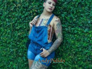 AndyPulido