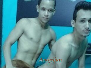 Anegeljan