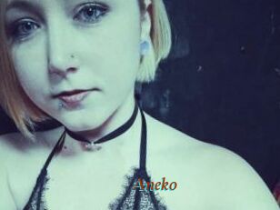 Aneko