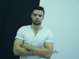 AnthonyJigalo