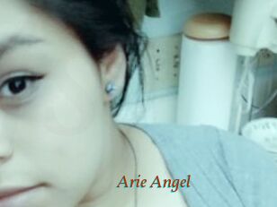 Arie_Angel