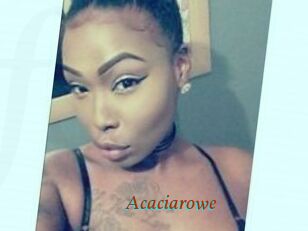 Acacia_rowe