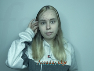 Accadavidge