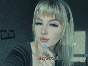 Accaexcell