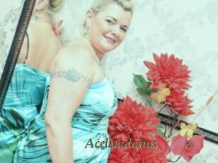 Acelinadams