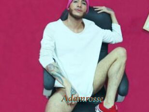 Adamrosse