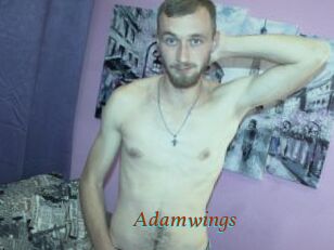 Adamwings