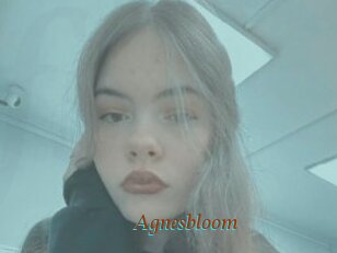 Agnesbloom