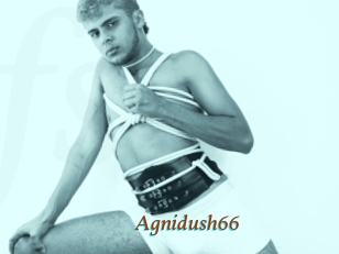 Agnidush66