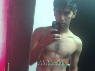 Alejburning