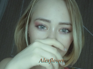 Alexflower