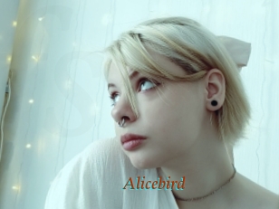 Alicebird