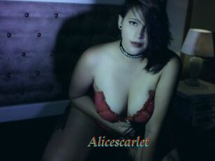 Alicescarlet