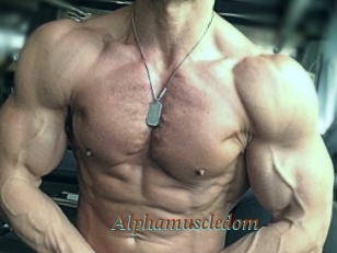 Alphamuscledom