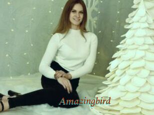Amazingbird