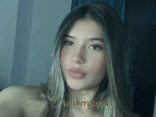 Ambercamus