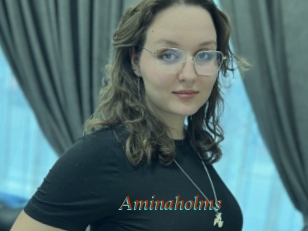 Aminaholms