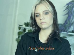 Amitybawden