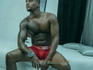 Andy_sullivann