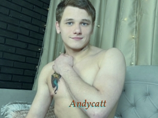 Andycatt