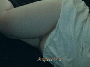 Angecornu
