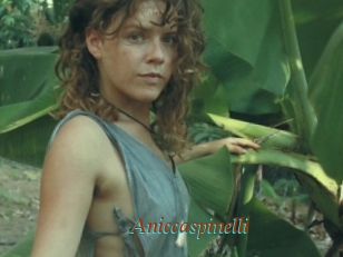 Aniccaspinelli