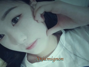 Anjamignon