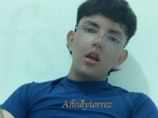 Anndytorrez