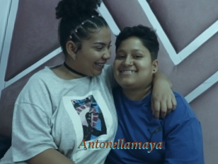 Antonellamaya