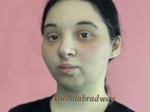 Antoniabradway