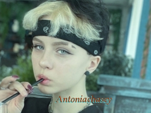 Antoniachasey