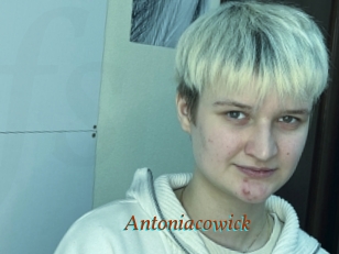 Antoniacowick