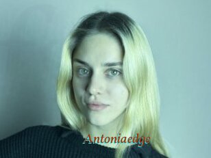Antoniaedge