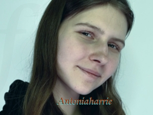 Antoniaharrie